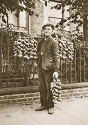 ワンダフルロンドン出身のブルトンタマネギの売り手が1926-27年に出版した（グラビア）